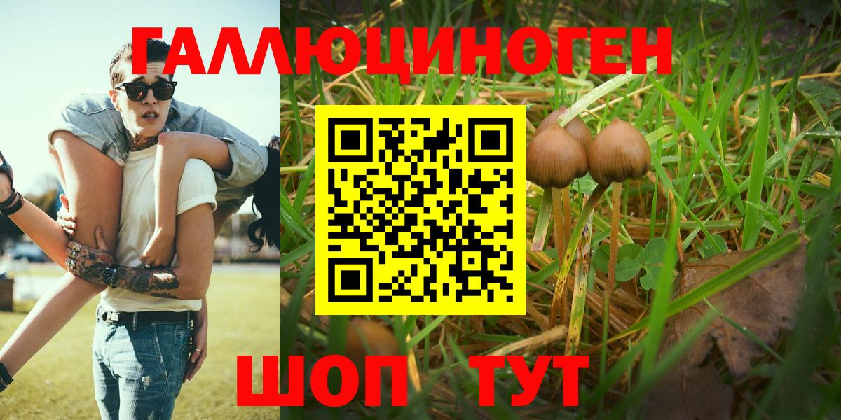 Псилоцибиновые грибы мухоморы Биробиджан